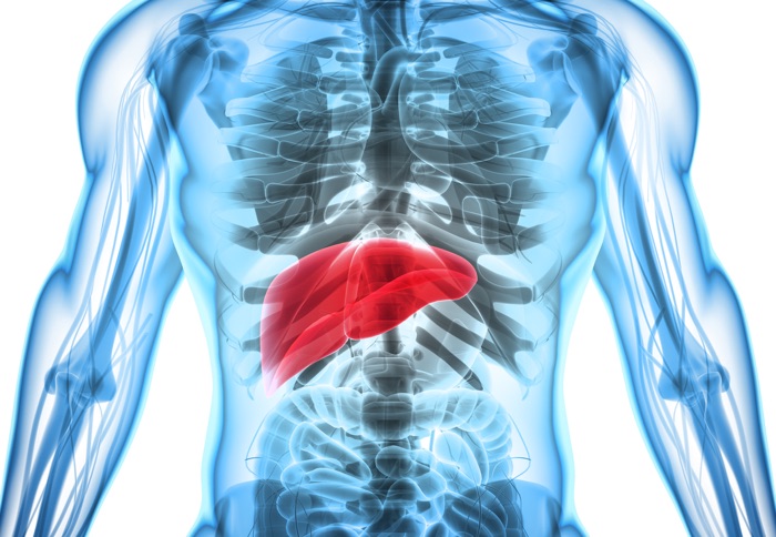 Four Causes of Thyroid Damage You Might’ve Missed - Liver